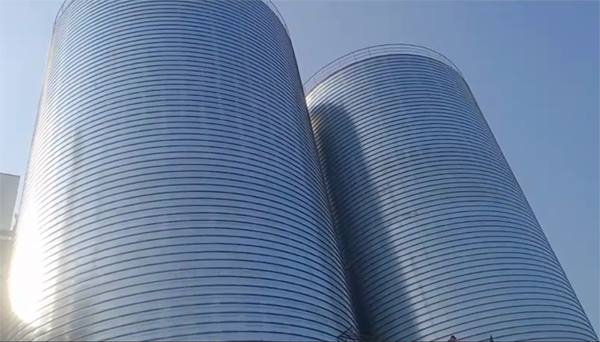 崇信2座混凝土高架卷板仓